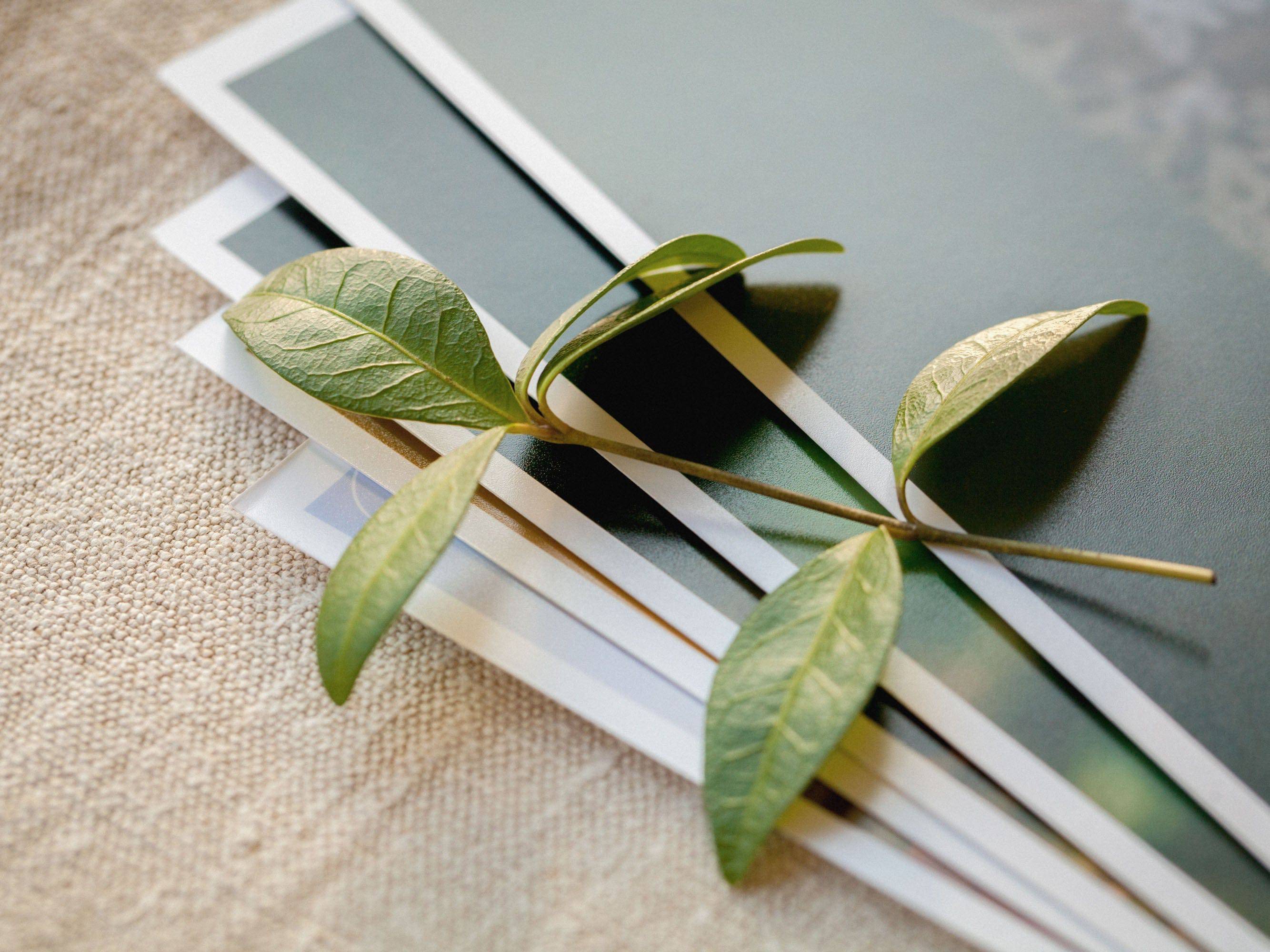 50+ Professional Print Your Digital Photo (Matte Paper)