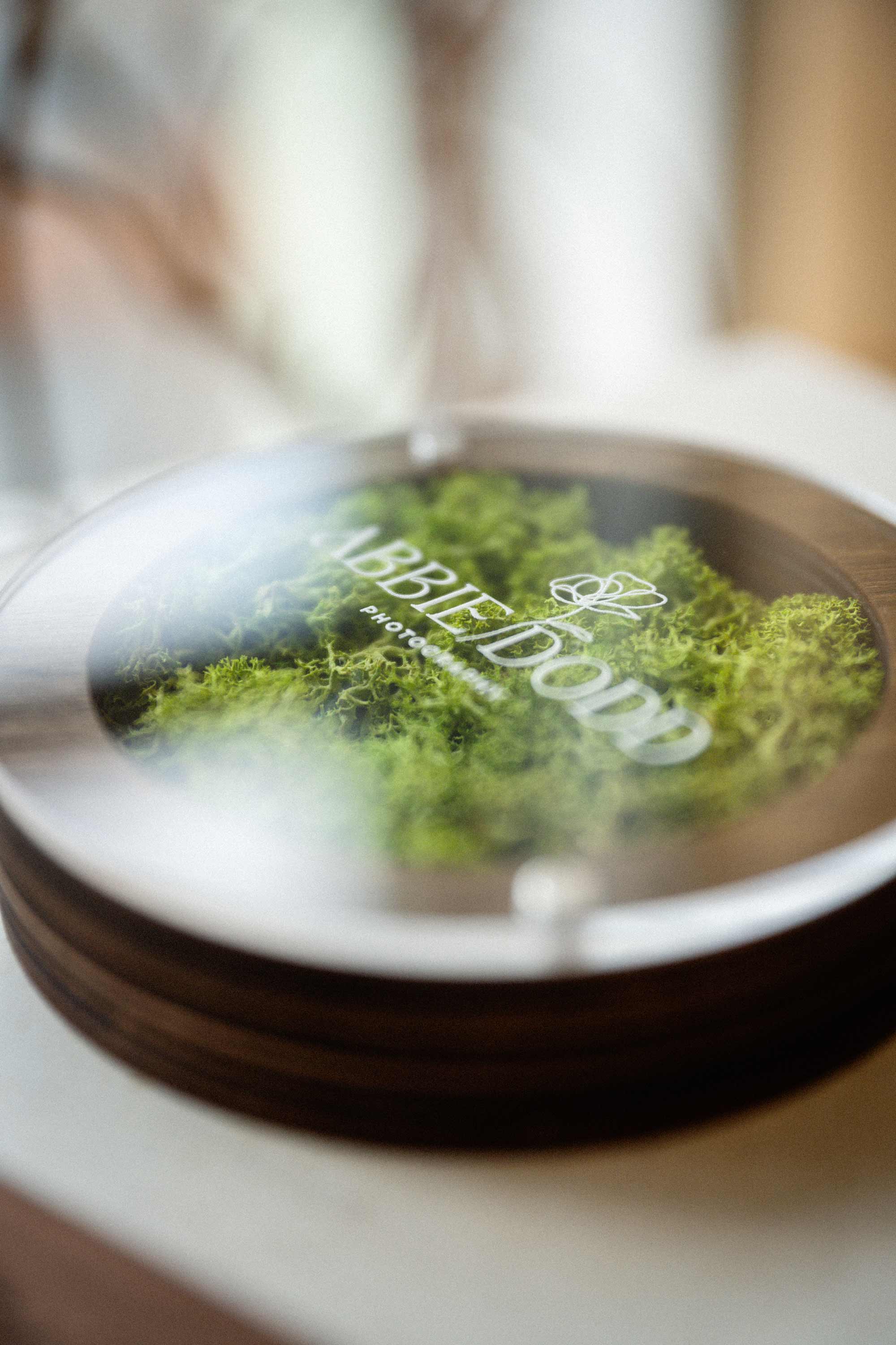 Soft close up of walnut USB box with acrylic lid and green moss inside