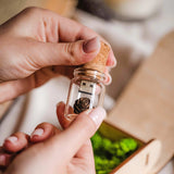 Glass Bottle USB 3.0 Flash Drive in Personalized Maple Wooden Box with Moss, Unique Gift - NZHANDICRAFT