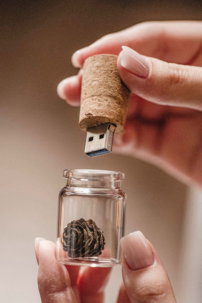 Glass Bottle with Cork USB Flash Drive 3.0 with Small Pine Cone - nzhandicraft