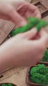 Personalisierte USB-Box mit optionalem Holz-Flash-Laufwerk für Hochzeitsfotografen