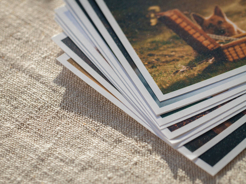 50+ Professional Print Your Digital Photo (Matte Paper)