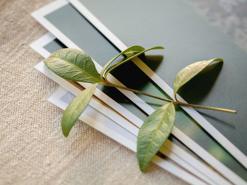 50+ Professional Print Your Digital Photo (Matte Paper)
