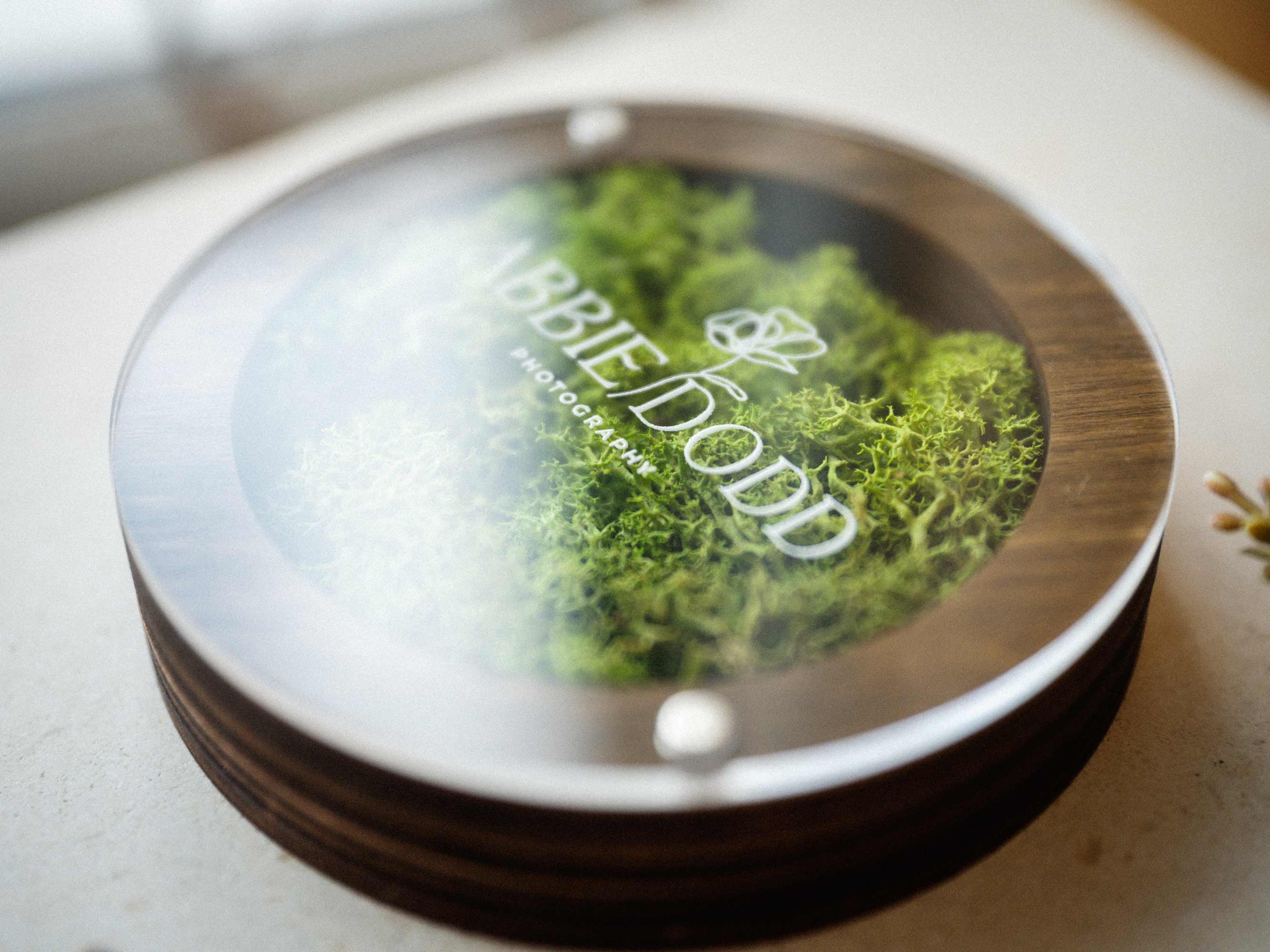 Closed walnut USB box with clear acrylic lid and preserved Scandinavian moss close up