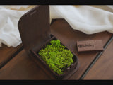 Personalized USB Box with Wooden Flash Drive (option) for Wedding Photographers